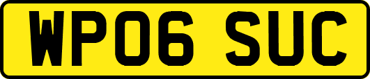 WP06SUC