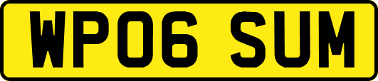 WP06SUM