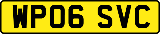 WP06SVC