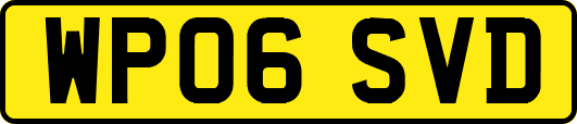 WP06SVD
