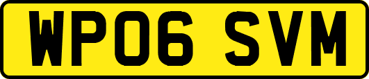 WP06SVM