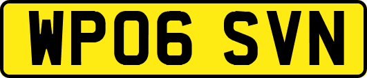 WP06SVN