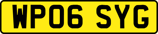 WP06SYG