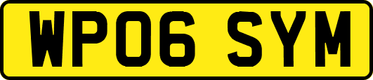 WP06SYM
