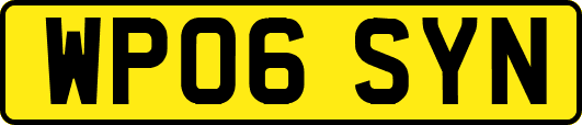 WP06SYN