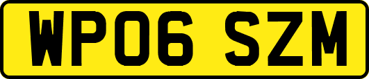 WP06SZM