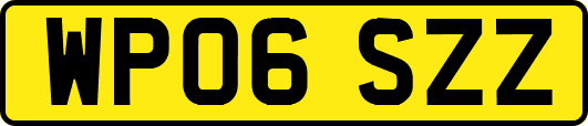 WP06SZZ
