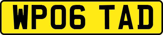 WP06TAD
