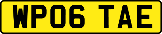 WP06TAE