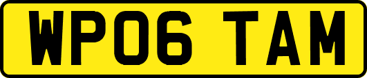 WP06TAM