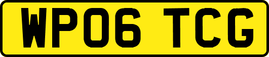 WP06TCG