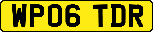 WP06TDR
