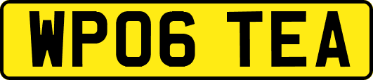 WP06TEA