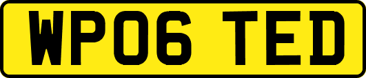 WP06TED
