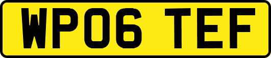 WP06TEF