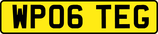 WP06TEG