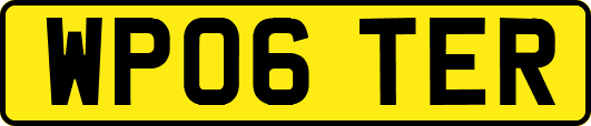 WP06TER