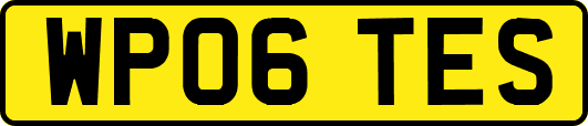 WP06TES