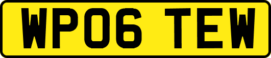 WP06TEW