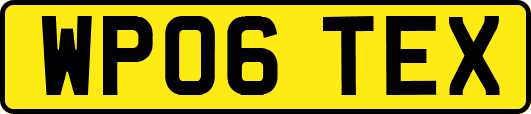 WP06TEX