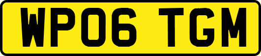 WP06TGM