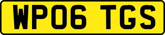 WP06TGS