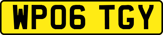 WP06TGY