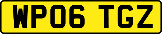 WP06TGZ