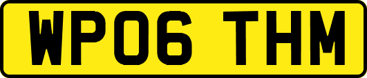 WP06THM