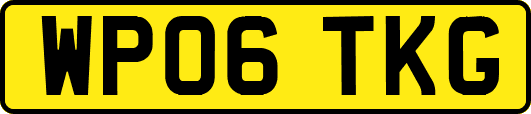WP06TKG