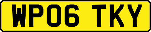 WP06TKY