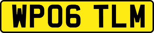 WP06TLM