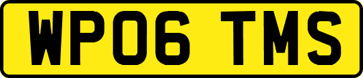 WP06TMS