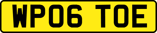 WP06TOE
