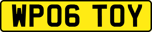 WP06TOY
