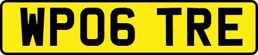 WP06TRE