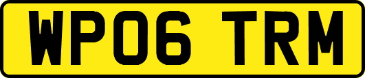 WP06TRM