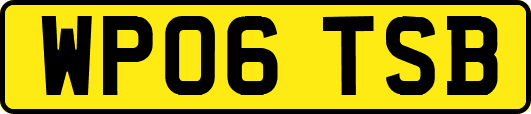 WP06TSB