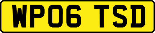 WP06TSD