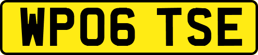 WP06TSE