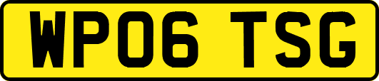 WP06TSG