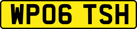 WP06TSH
