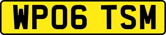 WP06TSM