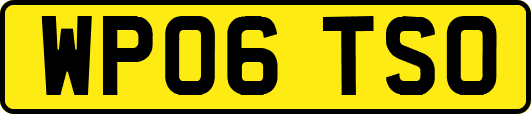WP06TSO