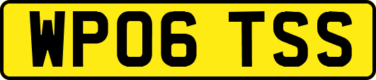 WP06TSS
