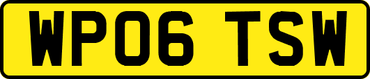 WP06TSW