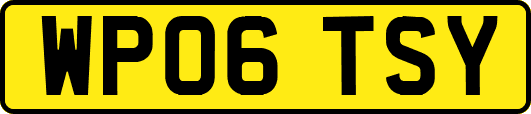 WP06TSY