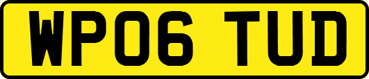 WP06TUD