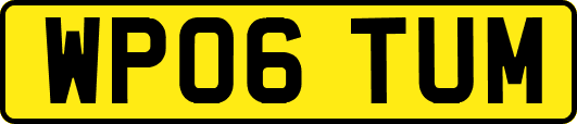 WP06TUM