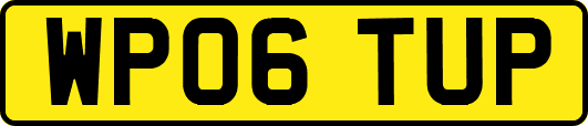 WP06TUP